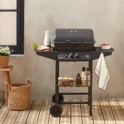 Barbecue a gas a 2 bruciatori