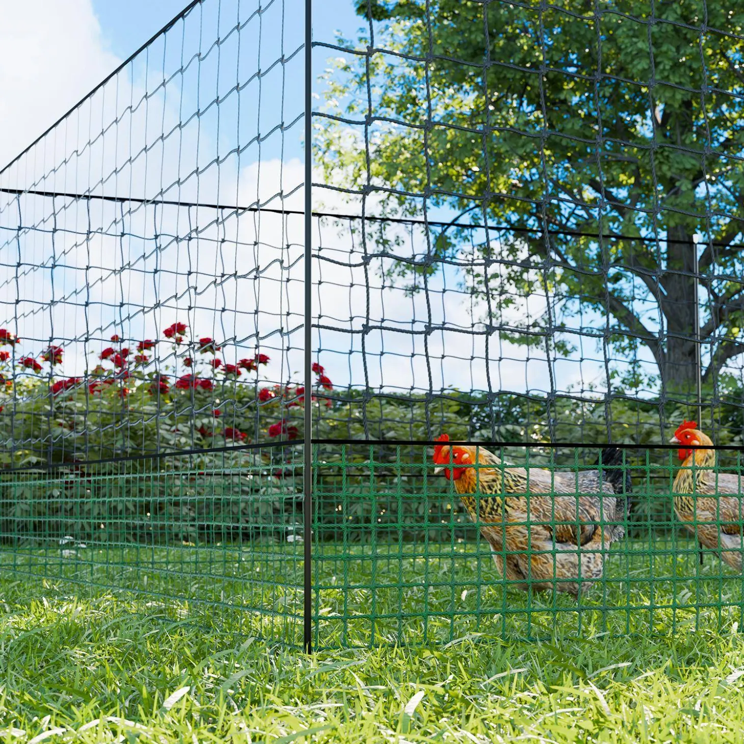 Kit di recinzione in rete modulare per galline