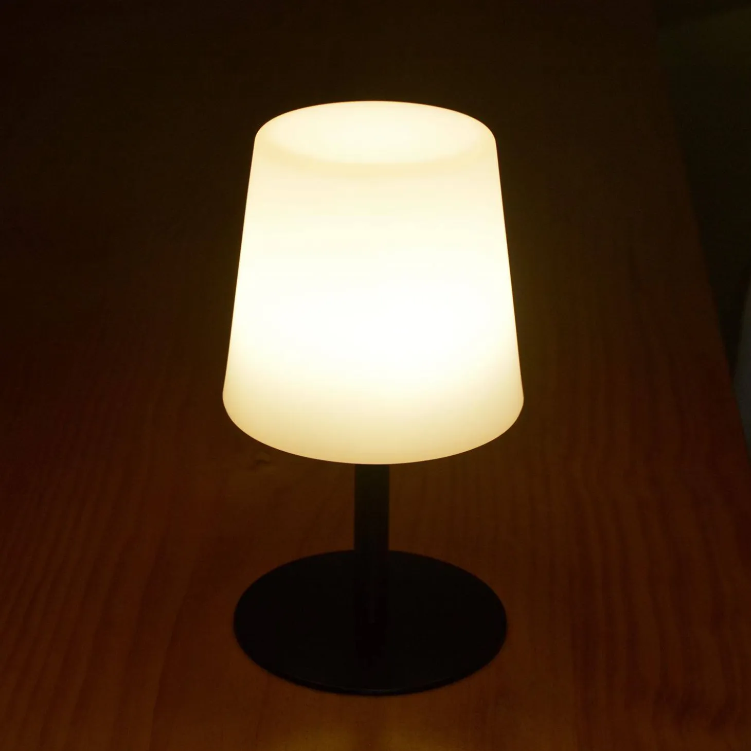 Lampada da tavolo a LED per interni/esterni 16cm
