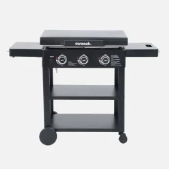 Piastra plancha a gas a 3 bruciatori con carrello e utensili