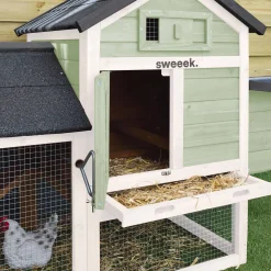 Pollaio in legno con recinto per 3 galline